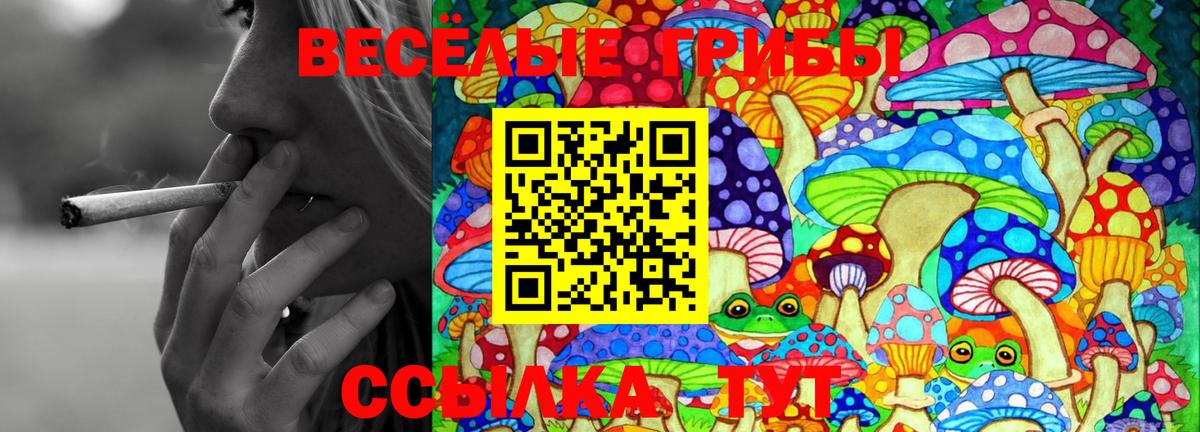 Псилоцибиновые грибы Cubensis Прокопьевск